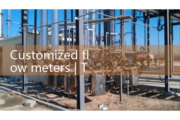Customized flowmeter
